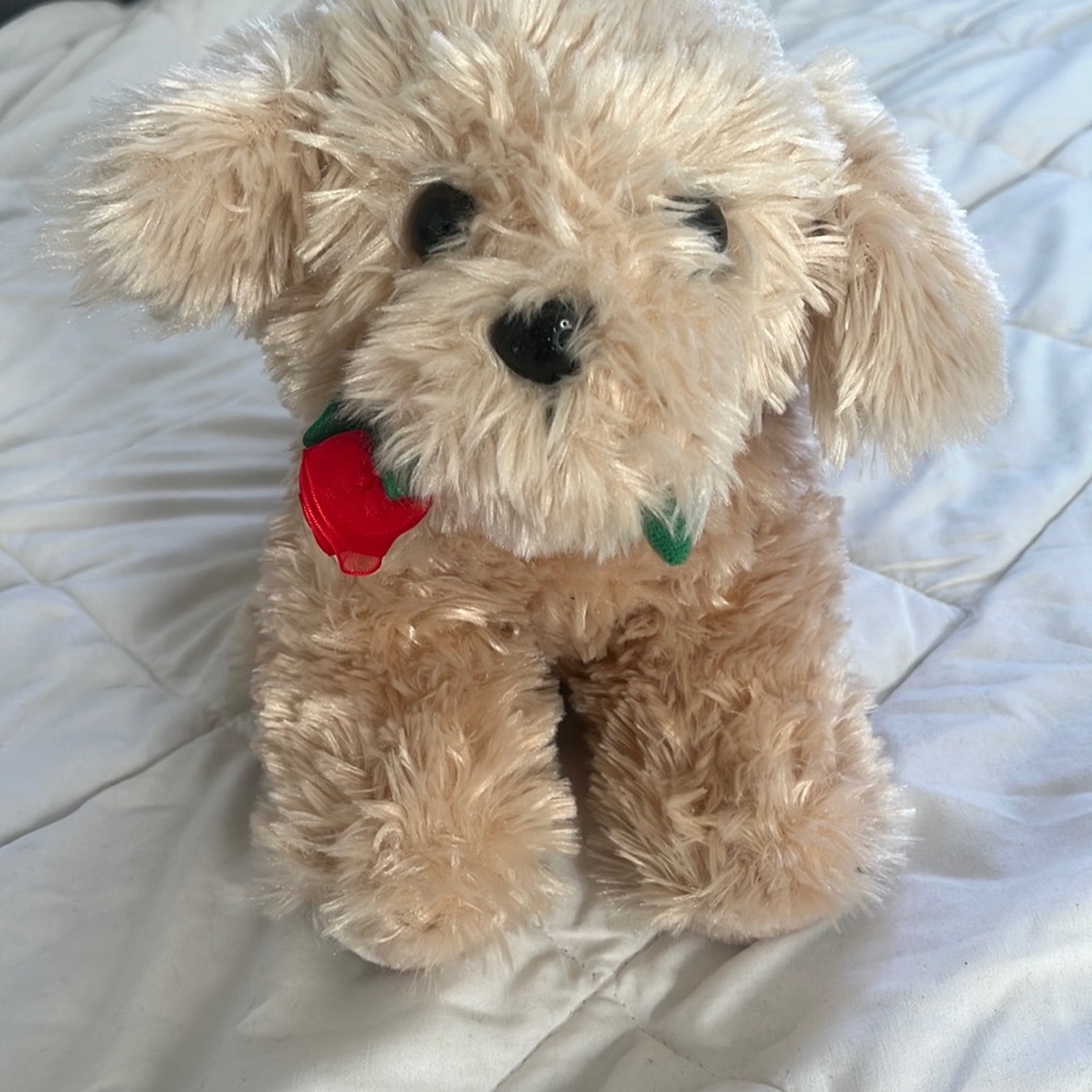 Stuffed animal Valentine’s Dog